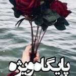 دانلود رمان پایگاه ویژه نویسنده سارا اعتماد