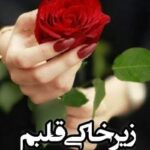 دانلود رمان زیرخاکی قلبم نویسنده فاطمه اسماعیلی