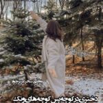 دانلود رمان دختری در کوچه پس کوچه های ونک از سحر عزیزخوار